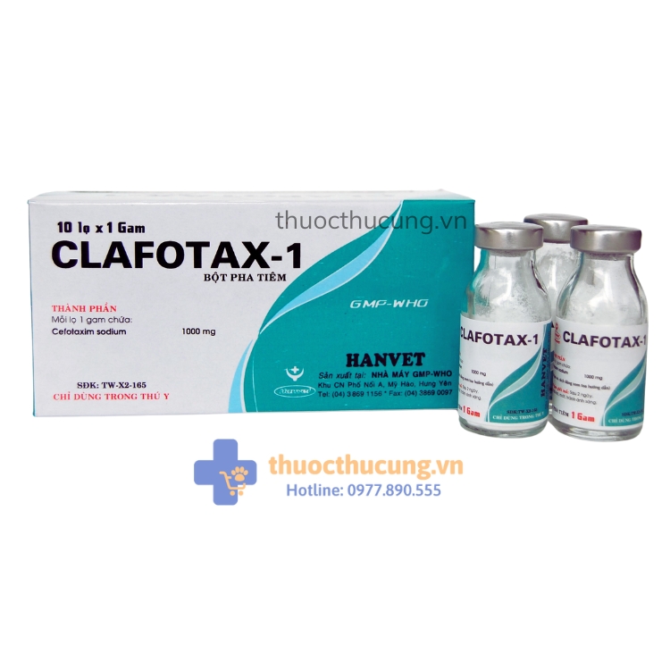 Clafotax-1 (6) Kháng sinh trị bệnh chó mèo