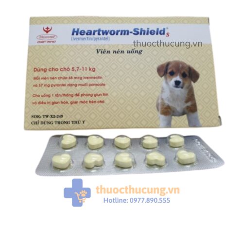 HEARTWORM-SHIELD. Phòng bệnh giun tim, điều trị giun tròn, giun móc cho chó