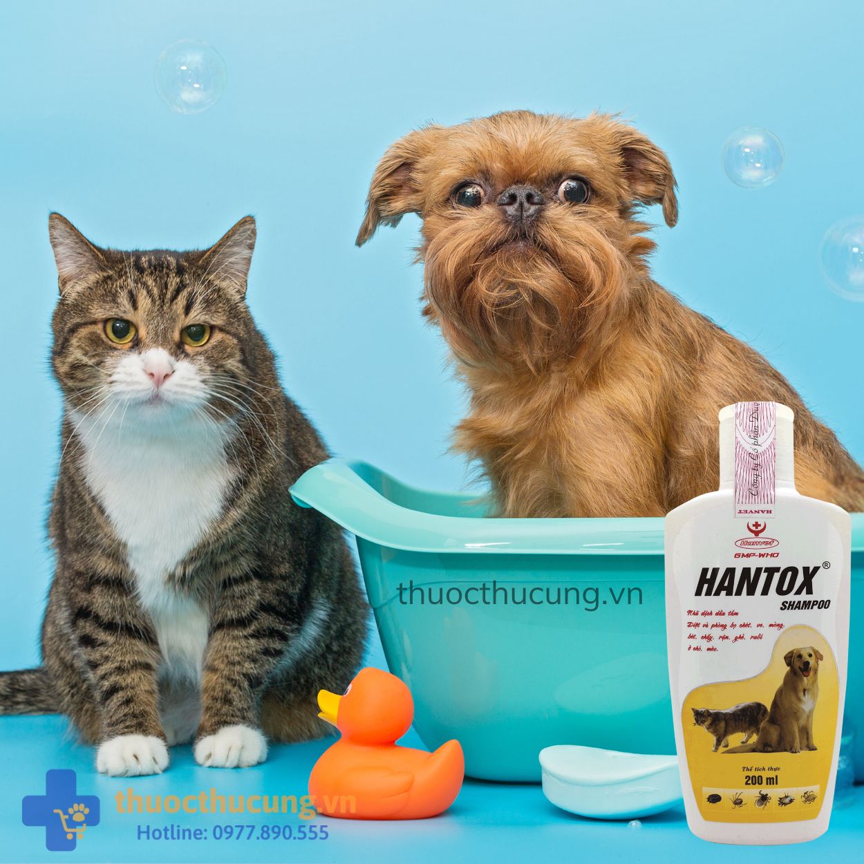 Hantox-Shampoo (1) Diệt và phòng bọ chét, bét, ve, chấy, rận, ghẻ ở chó, mèo, thú nuôi.