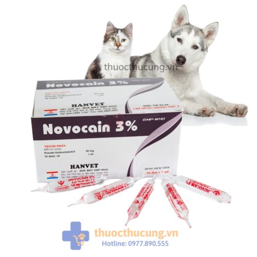 Novocain 3% 5ml. Gây tê tại chỗ, gây tê cột sống, điều hòa thần kinh thực vật