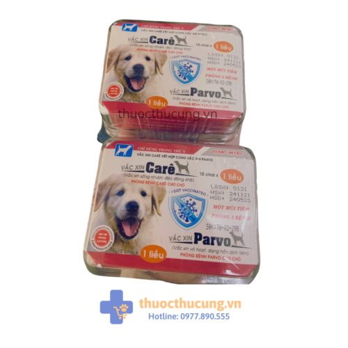 Vắc xin phòng bệnh Care và Parvo cho chó