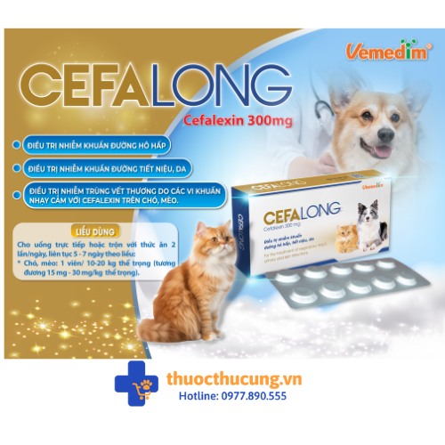 CEFALONG (1) CEFALONG. Điều trị nhiễm khuẩn đường hô hấp, tiết niệu, da trên chó, mèo
