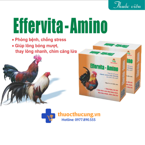 Effervita Amino (1) Giúp duy trì sức khỏe tốt, chống stress, phòng các bệnh do thời tiết, phục hồi sức khỏe sau khi bệnh. Kích thích ăn mồi. Giúp chim cảnh lông bóng mượt, thay lông nhanh, chim căng lửa. Chó, mèo nhanh nhẹn, sinh động, mắt sáng, lông mềm mượt.