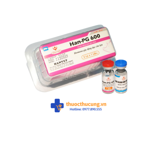 gây động dục cho lợn