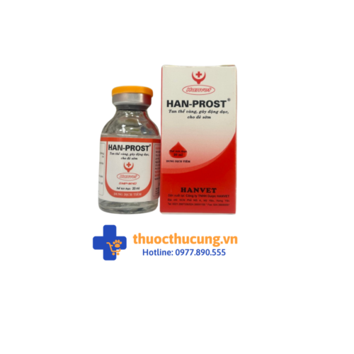 Tan thể vàng, gây động dục, cho đẻ sớm