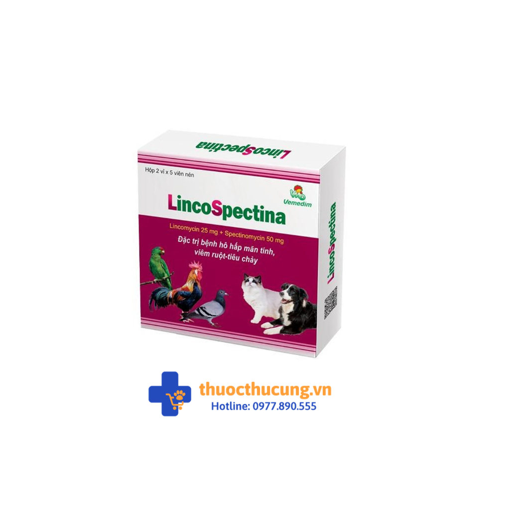 Kháng sinh đường uống