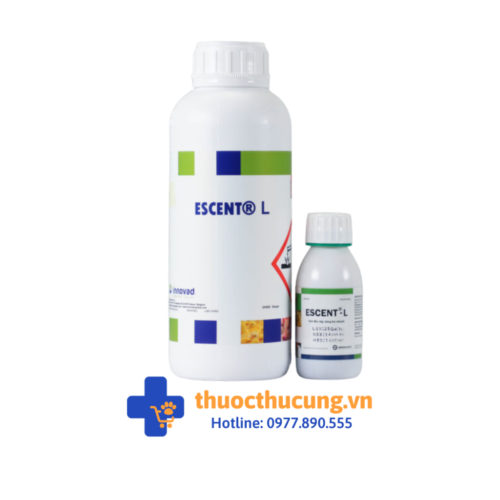 Giải độc cấp, tăng lực nhanh