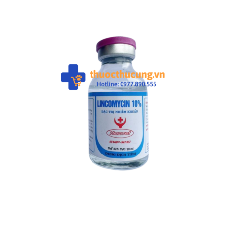 Đặc trị các bệnh nhiễm khuẩn